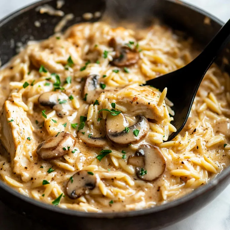 A bowl of chicken Marsala Orzo.